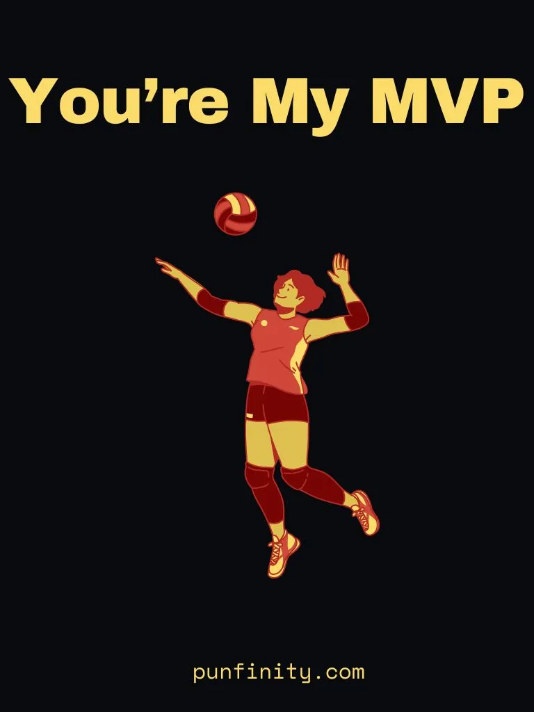 Volleyball Puns