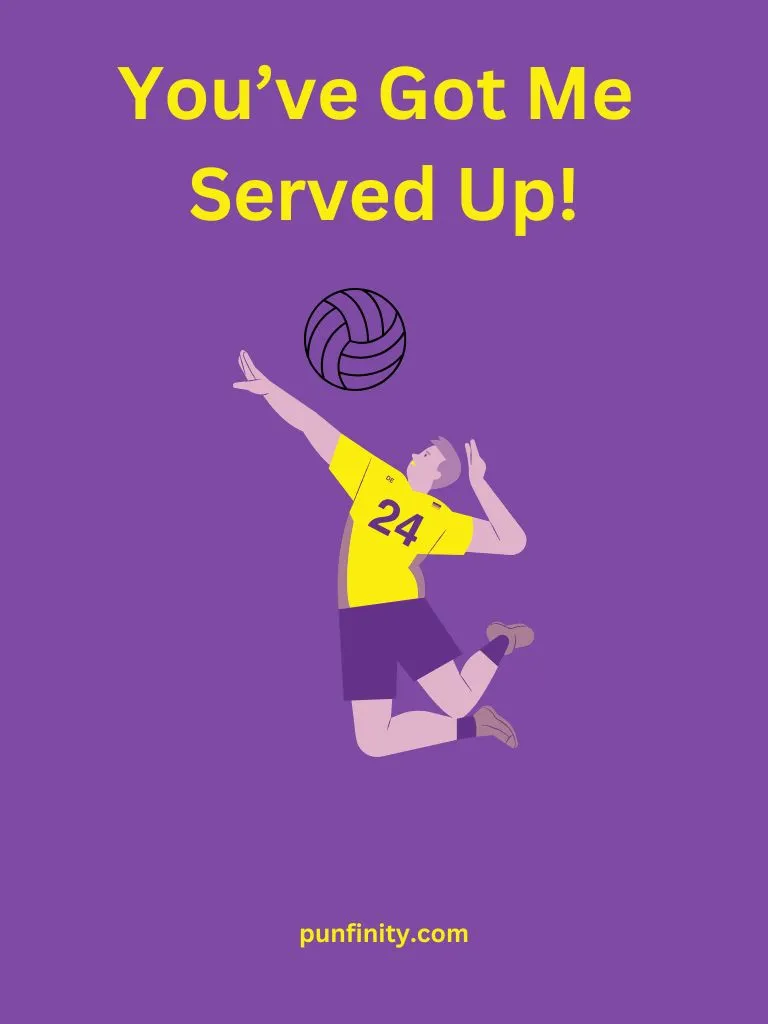 Volleyball Puns