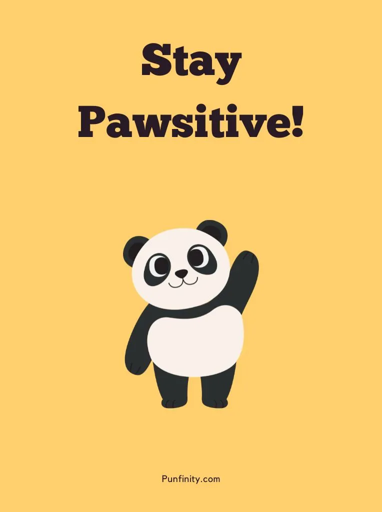 Panda Puns