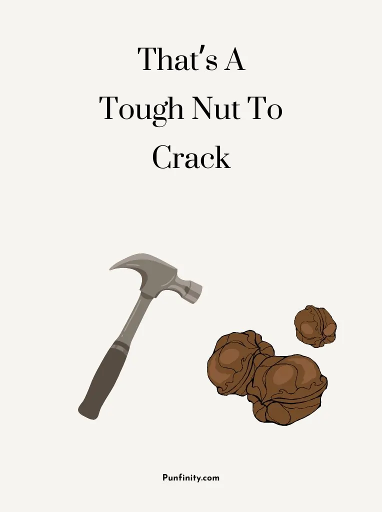 Nut Puns