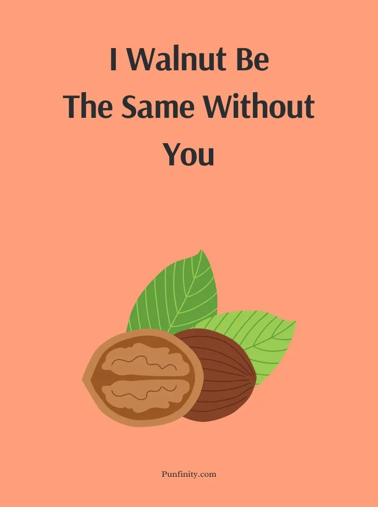 Nut Puns