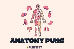 Anatomy Puns