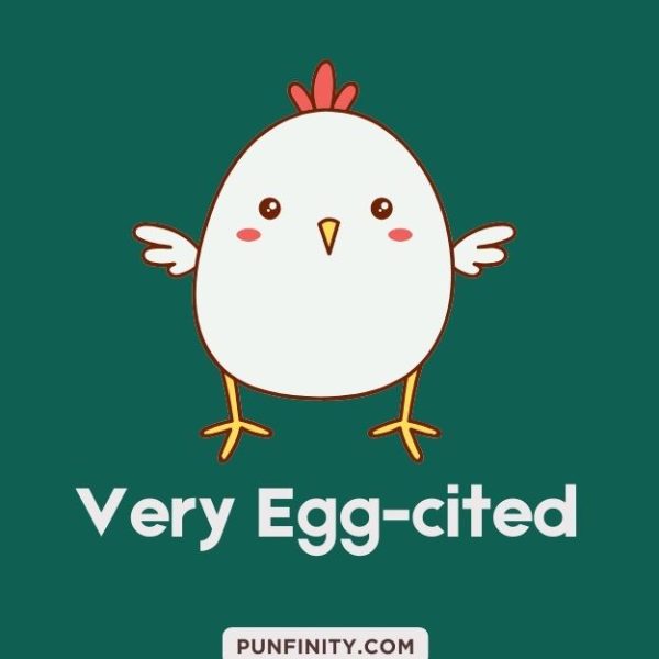 137 Egg-cellent Chicken Puns Ready For a Hatching Humor