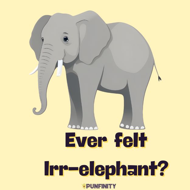 121 Elephant Puns To Get You Stomping With Laughter!