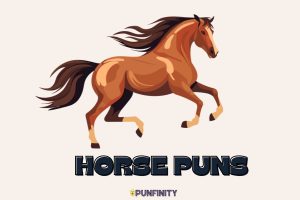 Horse Puns