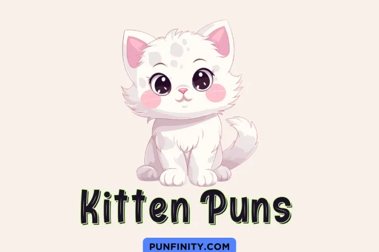 Kitten Puns