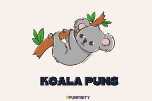 Koala Puns