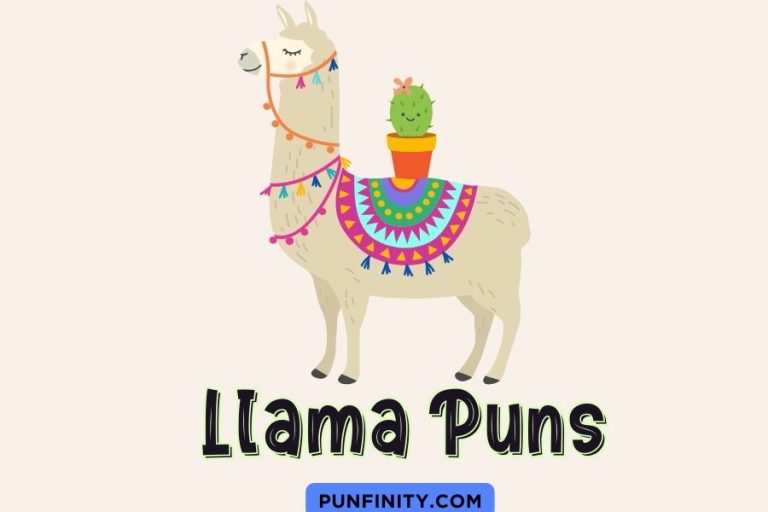 Llama Puns