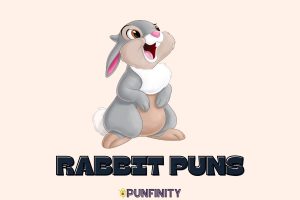 Rabbit Puns