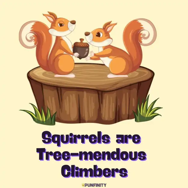 129+ Best Squirrel Puns to Squirrel Away the Laughs [2024]