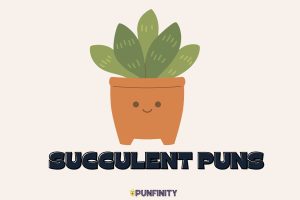 Succulent Puns