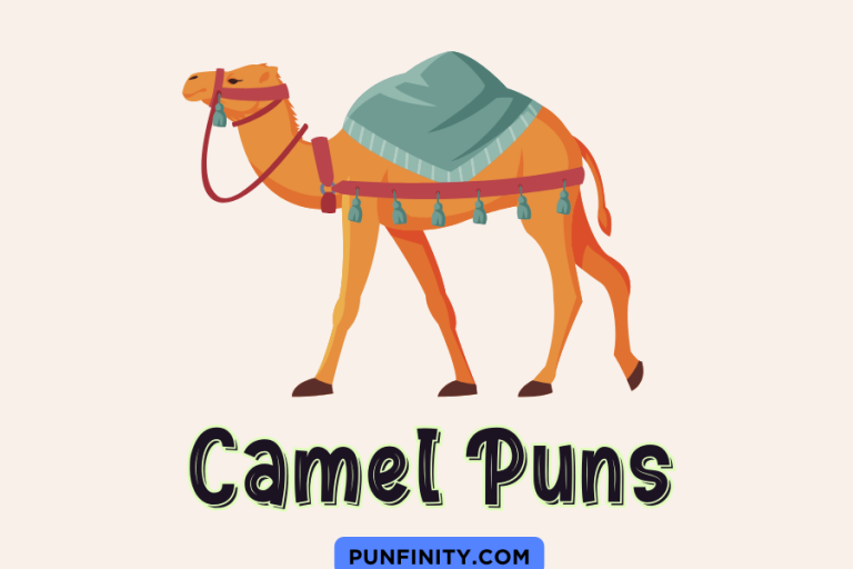 camel puns