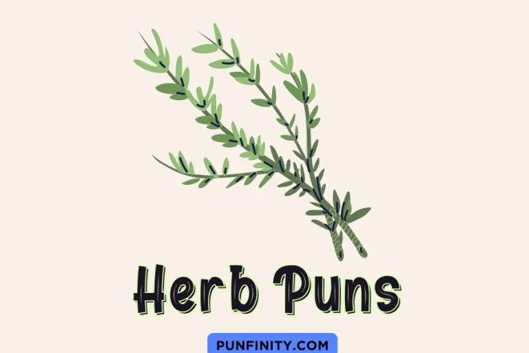 117 Herb Puns That Will Leave You in Thyme [2024]