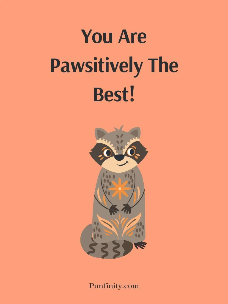 Raccoon Puns