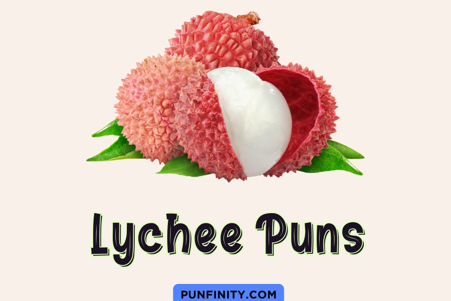 Lychee Puns