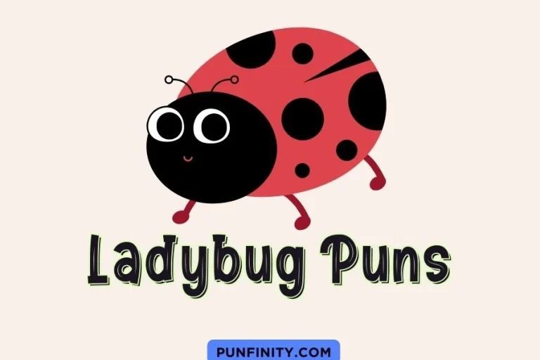 107 Clever Ladybug Puns That Will Make You Smile