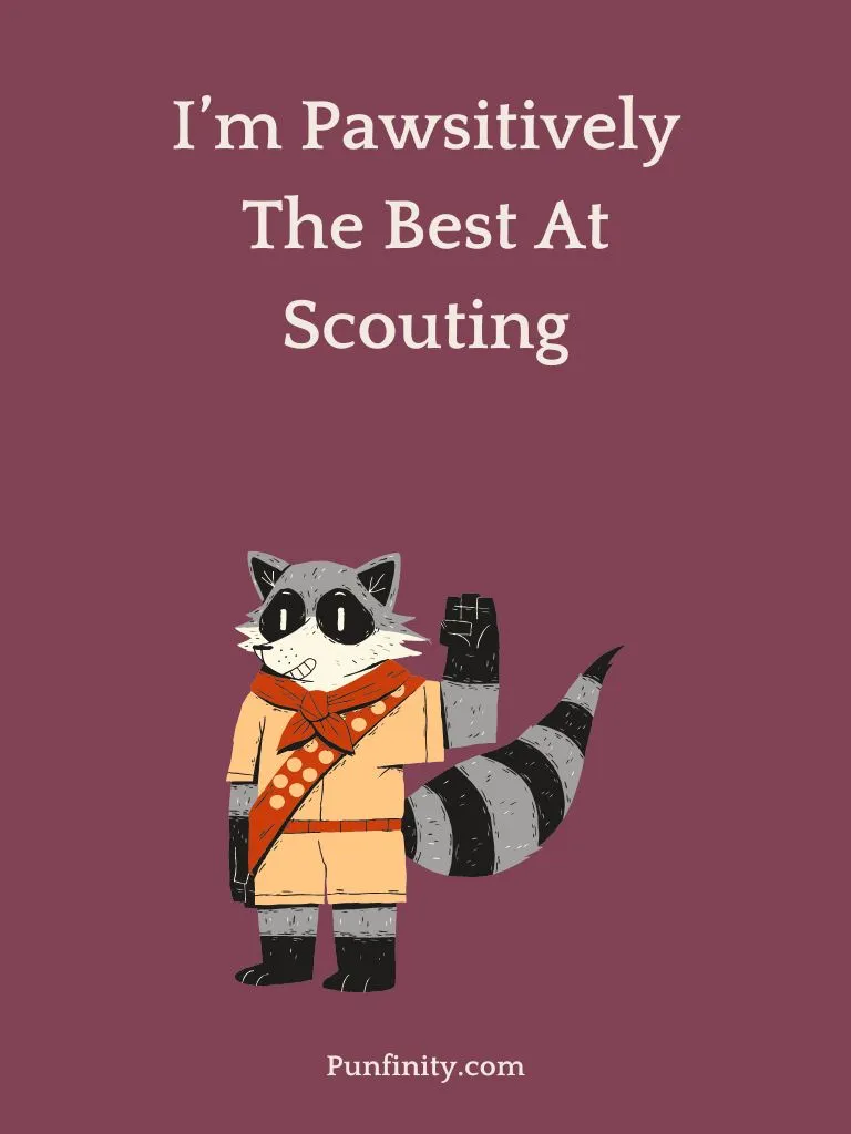Raccoon Puns