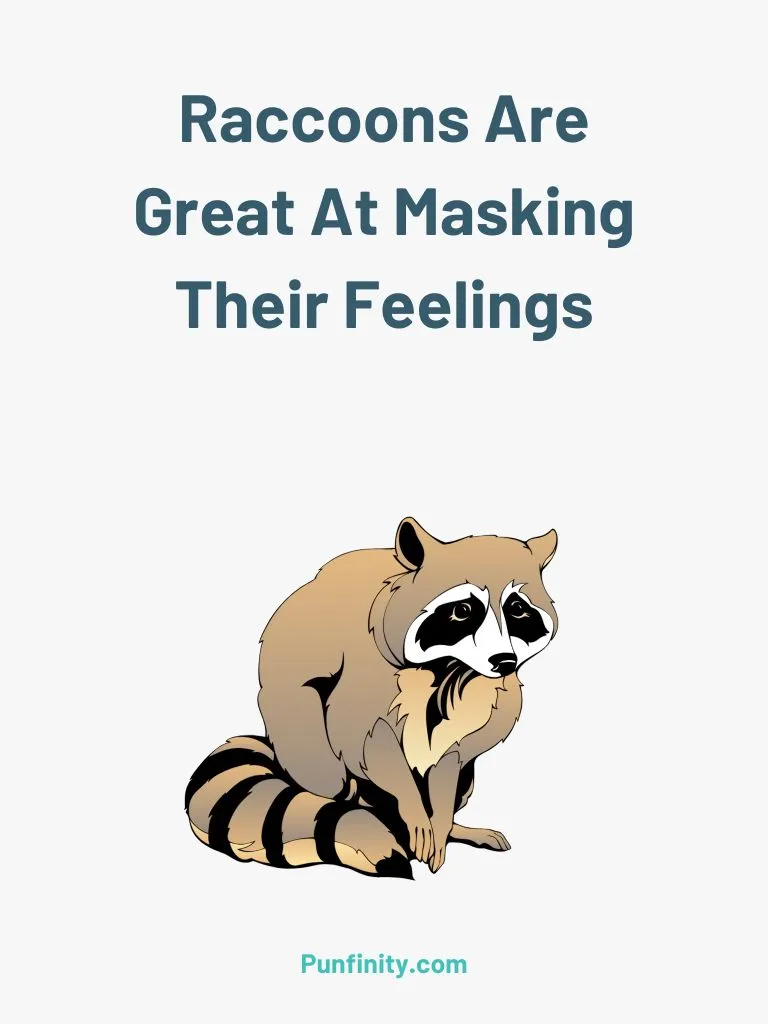 Raccoon Puns