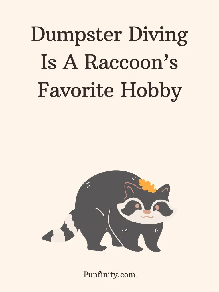 Raccoon Puns