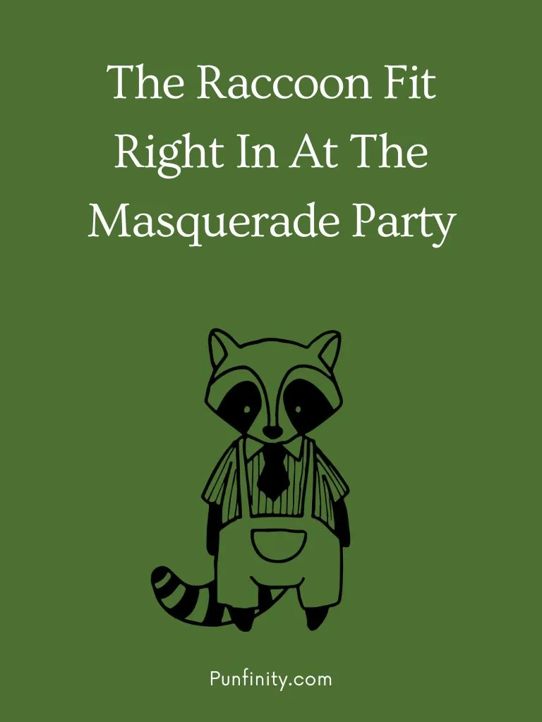 Raccoon Puns