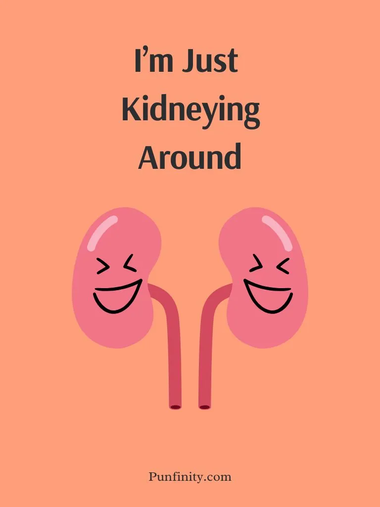 Kidney Puns