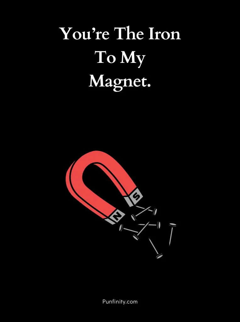 Magnet Puns