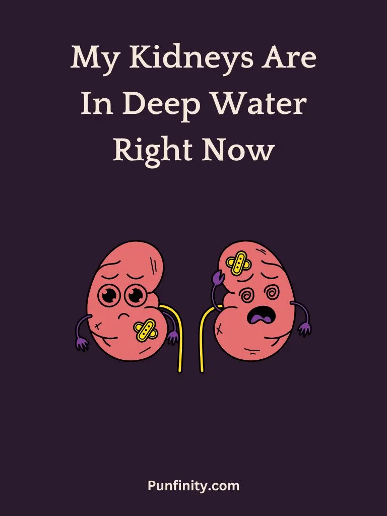 Kidney Puns