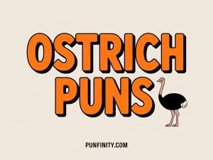 ostrich puns