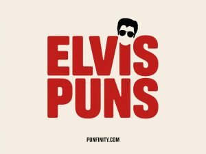 elvis puns